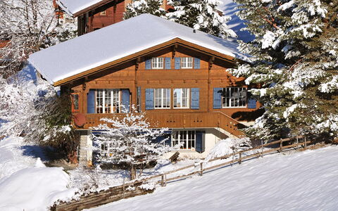 Arche: Sneeuw, Fabriek, Gebouw, Eigendom, Venster, Takje, Boom, Huis, Afdeling, Helling