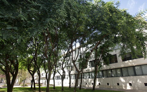 Vila Olimpica Pamplona: Boom, Woody Plant, Eigendom, Fabriek, Architectuur, Huis, Gebouw, Facade, Stedelijk Ontwerp, Stad