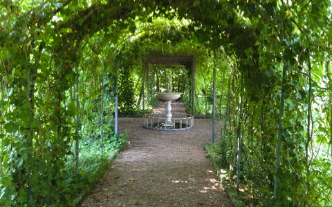 Villa Quattro Mori: Tuin, Gazon, Landscaping, Schaduw, Buitenmeubels, Park, Hacienda, Landgoed, Werf, Eco Hotel