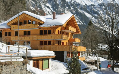 Bergfrieden Apt. 2: Sneeuw, Gebouw, Venster, Berg, Fabriek, Huis, Boom, Helling, Freezing, Biome