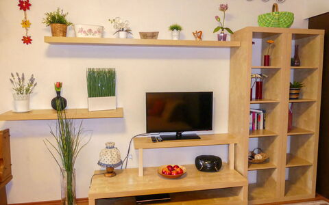 Walter: Eigendom, Meubilair, Fabriek, Kamerplant, Plank, Stellingen, Oranje, Hout, Interieur Ontwerp, Computer Tafel