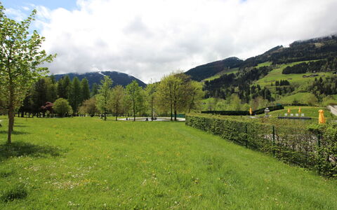 Walter: Bergachtig Landvormen, Groen, Berg, Boom, Gras, Natuurlijke Omgeving, Natuur, Heuvel, Grasland, Natuurlijk Landschap