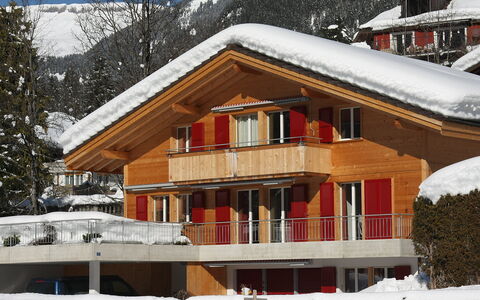 Chalet Almisgässli: Sneeuw, Gebouw, Venster, Lucht, Boom, Berg, Huis, Hout, Helling, Verblijf