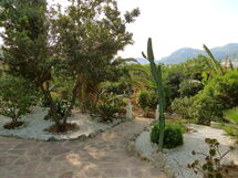Orange Haven