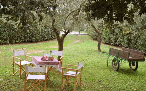 Casetta Ponticelli: Tafel, Meubilair, Buitentafel, Gras, Boom, Werf, Gazon, Backyard, Tuin, Buitenmeubels