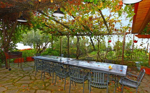 'O Pignatiello: Boom, Tafel, Blad, Kamer, Meubilair, Plantkunde, Huis, Fabriek, Patio, Herfst
