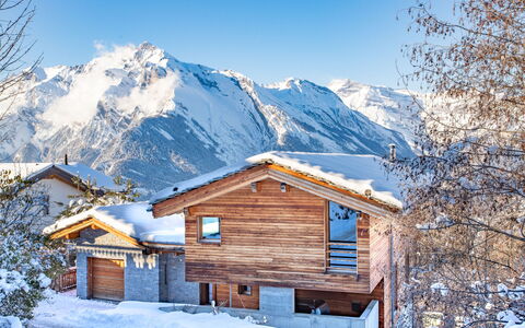 Nendaz 654: Lucht, Sneeuw, Berg, Eigendom, Gebouw, Natuurlijk Landschap, Huis, Helling, Venster, Boom