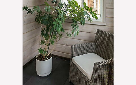 Tervaharju: Hout, Siding, Verblijf, Huis, Huis, Plank, Garden Gebouwen, Blokhut, Hardwood, Veranda