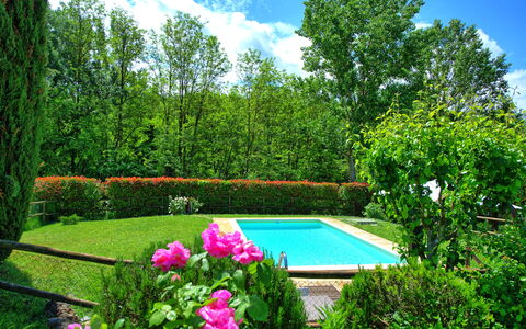 Casa Ovile: Bloem, Water, Fabriek, Lucht, Wolk, Groen, Natuurlijk Landschap, Plantkunde, Boom, Vegetation