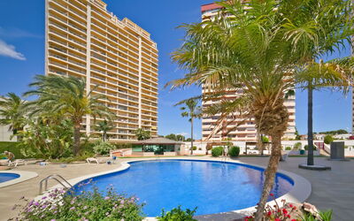 Accommodatie:&nbsp;Coral Beach 03 958.3