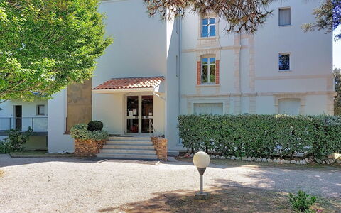 Le Platin: Struik, Woongebied, Huis, Tuin, Landgoed, Schaduw, Landscaping, Werf, Oprit, Villa