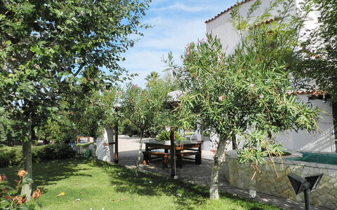 Giuga: Eigendom, Boom, Onroerend Goed, Huis, Werf, Tuin, Fabriek, Backyard, De Lente, Landelijk Gebied