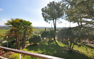 Accommodatie:&nbsp;Aloe 1