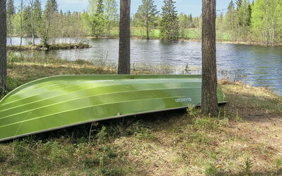 Yläneuvola Niemi