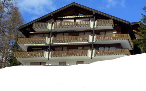 Sonnhalde B: Lucht, Gebouw, Wolk, Venster, Boom, Huis, Sneeuw, Helling, Hout, Facade