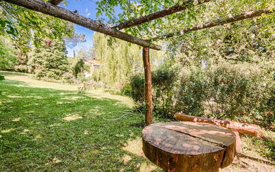 Campagnano Di Roma 20: Boom, Eigendom, Gras, Trunk, Onroerend Goed, Woody Plant, Bos, Woud, Tafel, Fabriek