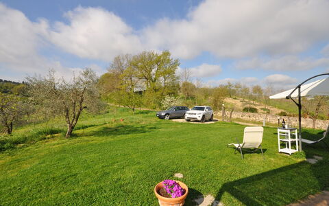 Capannino: Gras, Eigendom, Gazon, Land Lot, Boom, Grasland, De Lente, Tuin, Werf, Huis