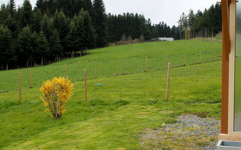 Le Clos des Sapins: Gras, Land Lot, Weide, Grassenfamilie, Boom, Pasture, Fabriek, Gazon, Grasland, Tuin