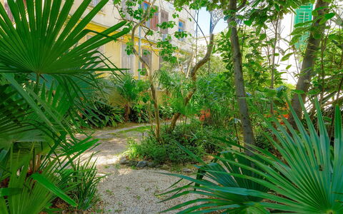 Silvia: Fabriek, Plantengemeenschap, Plantkunde, Blad, Boom, Plantendiversiteit, Arecales, Vegetation, Biome, Natuurlijk Landschap