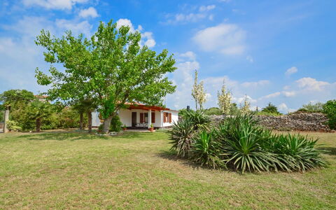 Ledi: Wolk, Lucht, Fabriek, Natuurlijk Landschap, Boom, Land Lot, Huis, Gras, Grasland, Plain
