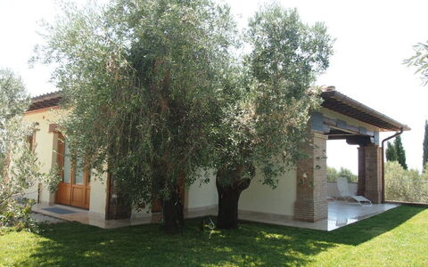 Villa Dei Cipressi: Eigendom, Boom, Huis, Huis, Onroerend Goed, Gebouw, Gras, Werf, Woody Plant, Fabriek