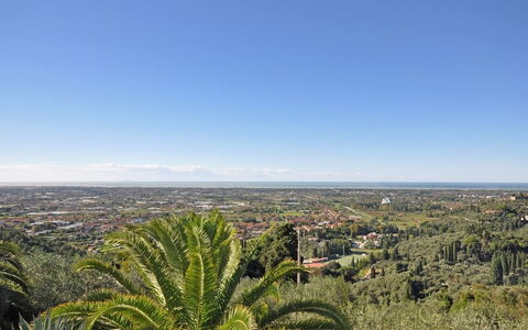 Villa Camaiore: Vegetation, Lucht, Boom, Plantengemeenschap, Shrubland, Plantkunde, Palmboom, Horizon, Fabriek, Heuvel