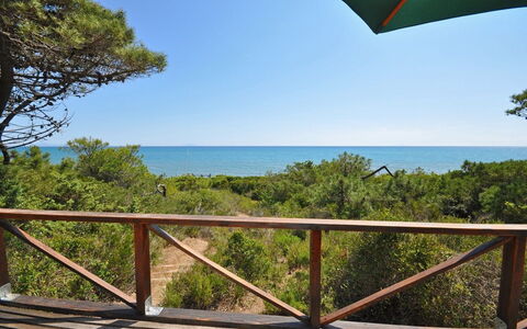 Casamare: Eigendom, Vegetation, Lucht, Onroerend Goed, Natuurgebied, Vakantie, Boom, Huis, Oceaan, Balkon