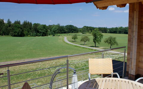 Lärche: Fabriek, Eigendom, Lucht, Groen, Boom, Natuurlijke Omgeving, Hek, Stoel, Schaduw, Gebouw