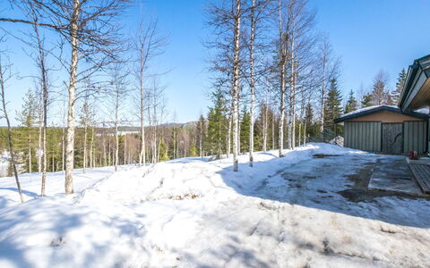 Mustalampi 5 Satakieli: Afdeling, Boom, Hout, Winter, Sneeuw, Takje, Freezing, Trunk, Lariks