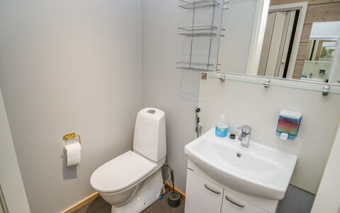 Tuiskukuru B: Wc Bril, Loodgieterswerkinrichting, Toilet, Wastafel, Wastafel In De Badkamer, Flooring, Verdieping, Badkamer, Interieur Ontwerp, Loodgieter