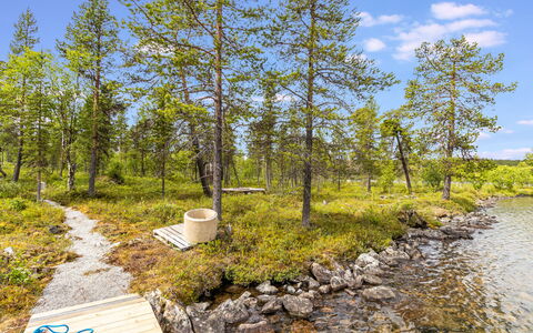 Villa Goskanjavri: Groen, Natuurlijke Omgeving, Natuur, Vegetation, Natuurlijk Landschap, Bank, Plantengemeenschap, Wildernis, Woud