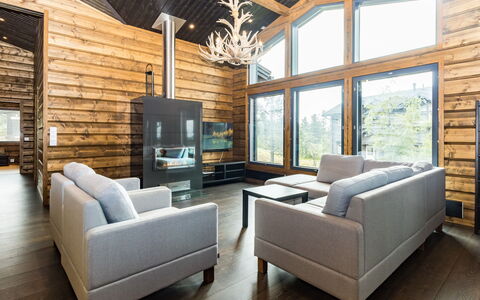 Villa Polar Night: Appartement, Condominium, Landgoed, Balkon, Villa, Hotel