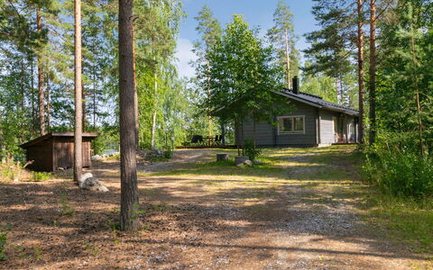 Hot Pool Cottage Iitu: Boom, Hout, Verblijf, Bos, Plantengemeenschap, Land Lot, Woud, Trunk, Garden Gebouwen