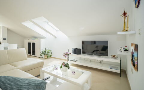 Accommodatie:&nbsp;Branko 401.1