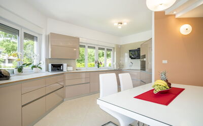 Accommodatie:&nbsp;Branko 401.2