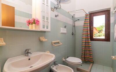Accommodatie:&nbsp;Mare 450.3