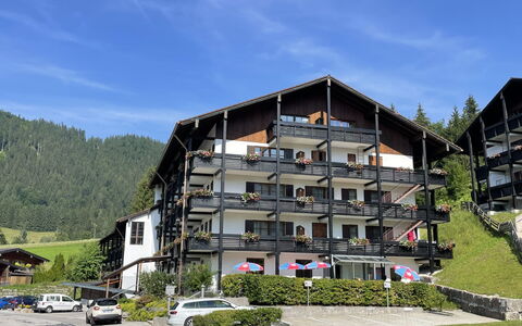 Berchtesgaden 300: Fabriek, Meubilair, Eigendom, Venster, Stoel, Gebouw, Hout, Verlichting, Bloempot, Architectuur