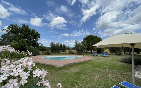 Funghi 1: Wolk, Lucht, Fabriek, Bloem, Zwembad, Water, Boom, Gras, Buitenmeubels, Schaduw