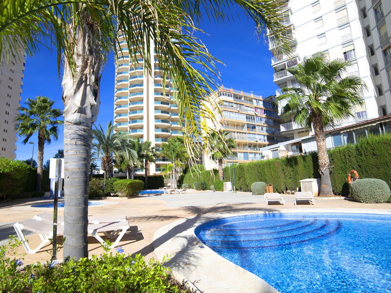 Calpe Calp 315
