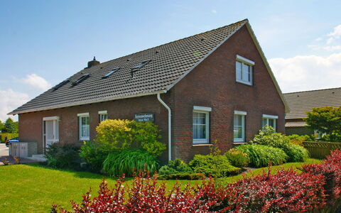 Norddeich 781: Fabriek, Lucht, Bloem, Wolk, Venster, Gebouw, Huis, Boom, Land Lot, Vegetation