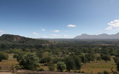 Cladera