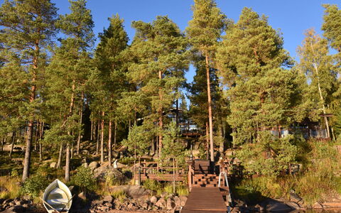 Villa Miestamo: Boom, Zwemwater, Natuurlijke Omgeving, Natuur, Hout, Natuurlijk Landschap, Bank, Meer, Woud