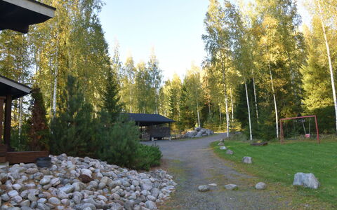 Villa Miestamo: Woud, Tuin, Schaduw, Bosje, Bos, Landscaping, Lariks