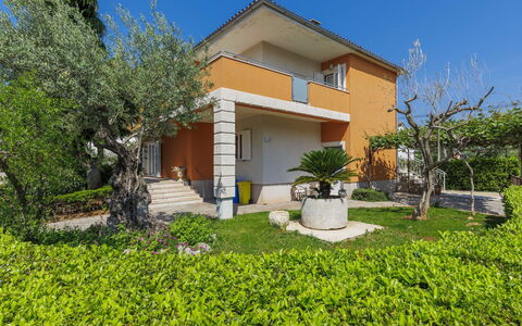Umag 119: Fabriek, Gebouw, Eigendom, Lucht, Natuur, Plantkunde, Huis, Vegetation, Land Lot, Boom