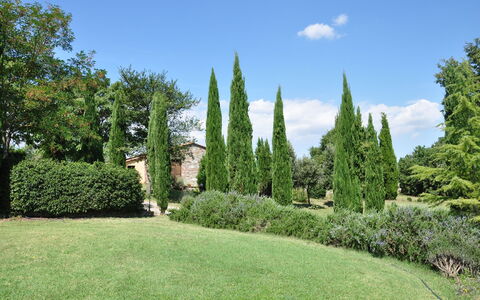 Le Querce Di Campocane: Boom, Gras, Tuin, Thuya, Struik, Gazon, Fabriek, Botanische Tuin, Eigendom, Woody Plant