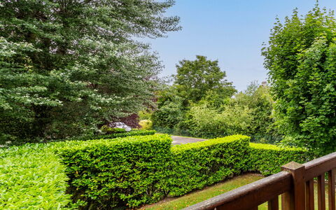 Les Manoirs: Groen, Blad, Vegetation, Struik, Haag, Tuin, Plantengemeenschap, Groundcover, Woody Plant, Gazon