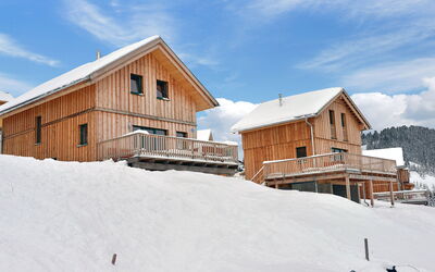 Accommodatie:&nbsp;Almdorf Klippitz 140.2