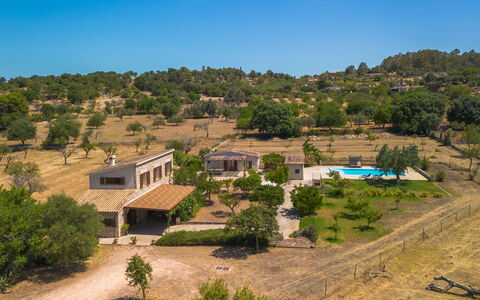 Cas Ciutada: Boom, Landgoed, Huis, Landelijk Gebied, Boerderij, Hacienda, Villa, Schaduw, Eco Hotel, Werf