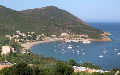 Fidiamare