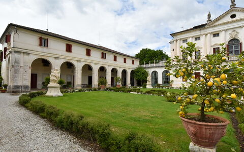Barchessa Palladio: Struik, Landgoed, Tuin, Herenhuis, Hacienda, Gazon, Ambtswoning, Villa, Paleis, Werf